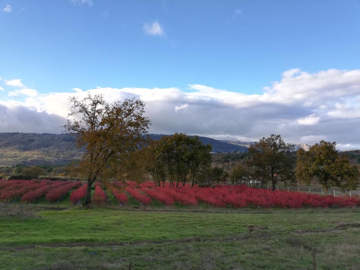 Quinta Dos Carvalhais - Serra Da Estrela Séjour à la ferme