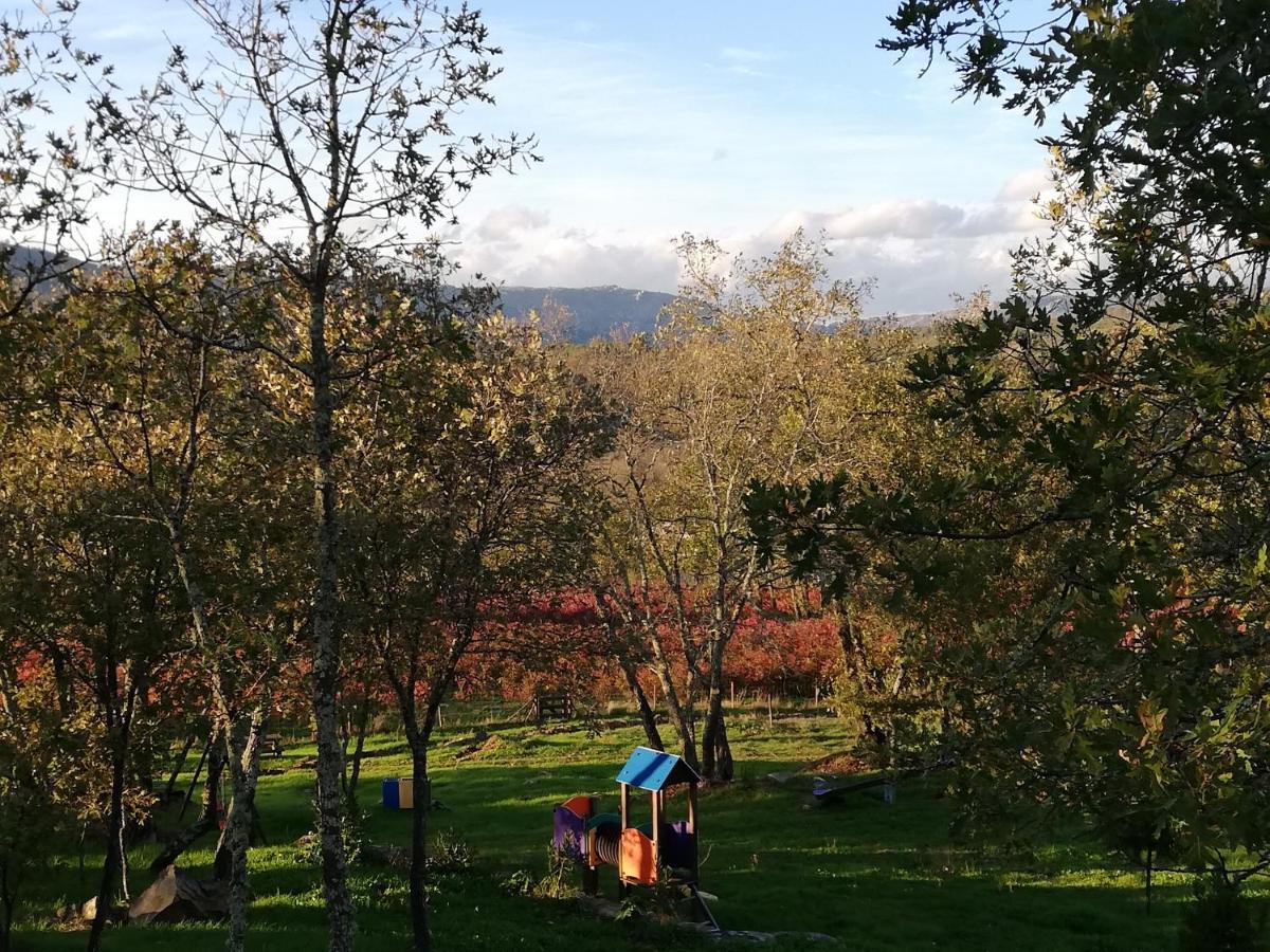 Quinta Dos Carvalhais - Serra Da Estrela Séjour à la ferme *