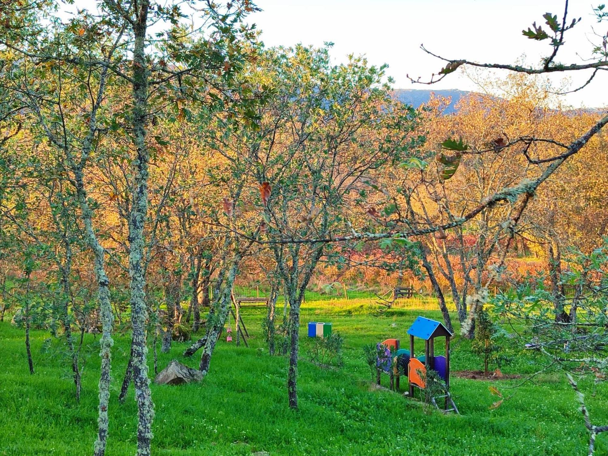 Séjour à la ferme Quinta Dos Carvalhais - Serra Da Estrela