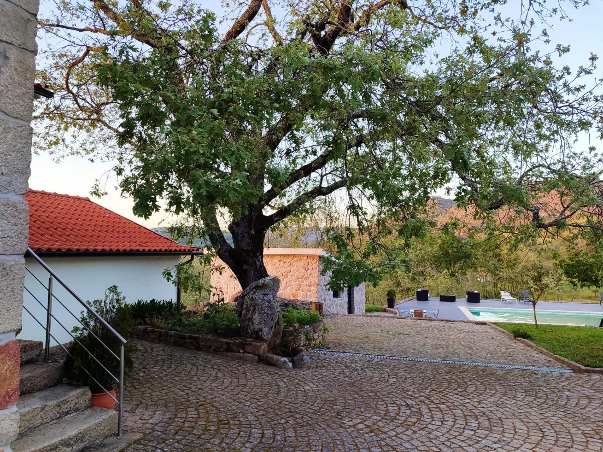 Séjour à la ferme Quinta Dos Carvalhais - Serra Da Estrela *